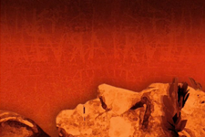 Portfolio thumbnail